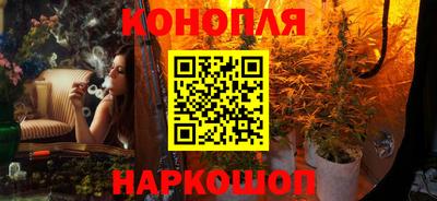 прущие крисы Северобайкальск