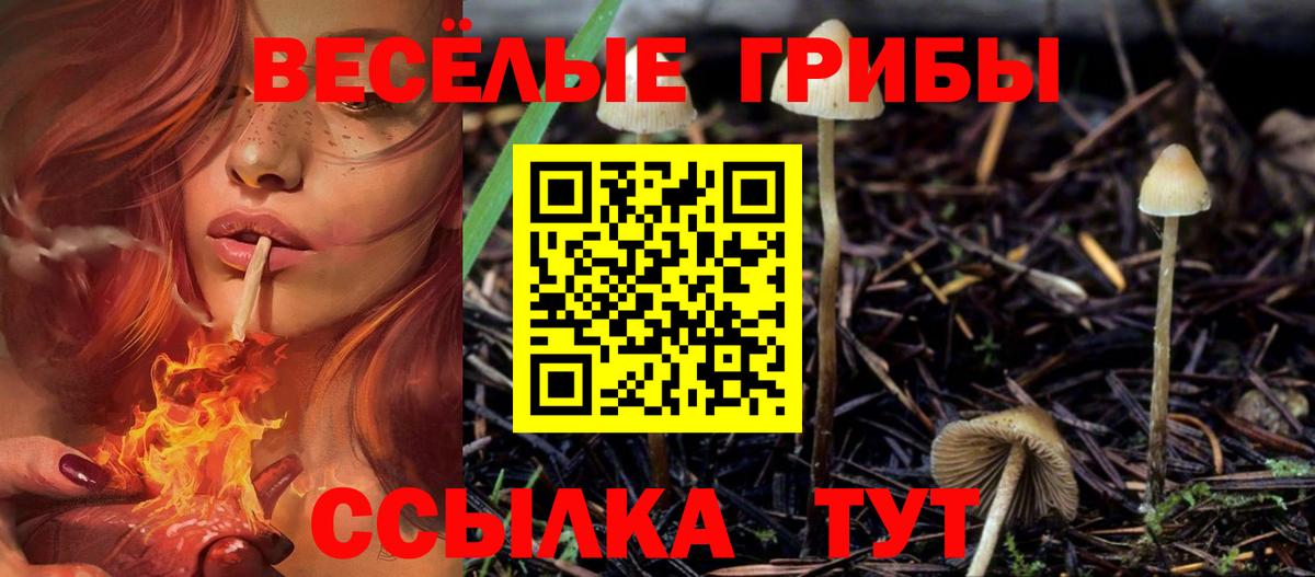 Псилоцибиновые грибы GOLDEN TEACHER Стрежевой