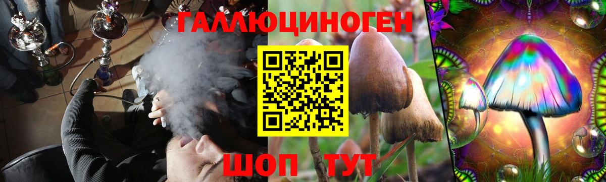 Псилоцибиновые грибы GOLDEN TEACHER Стрежевой